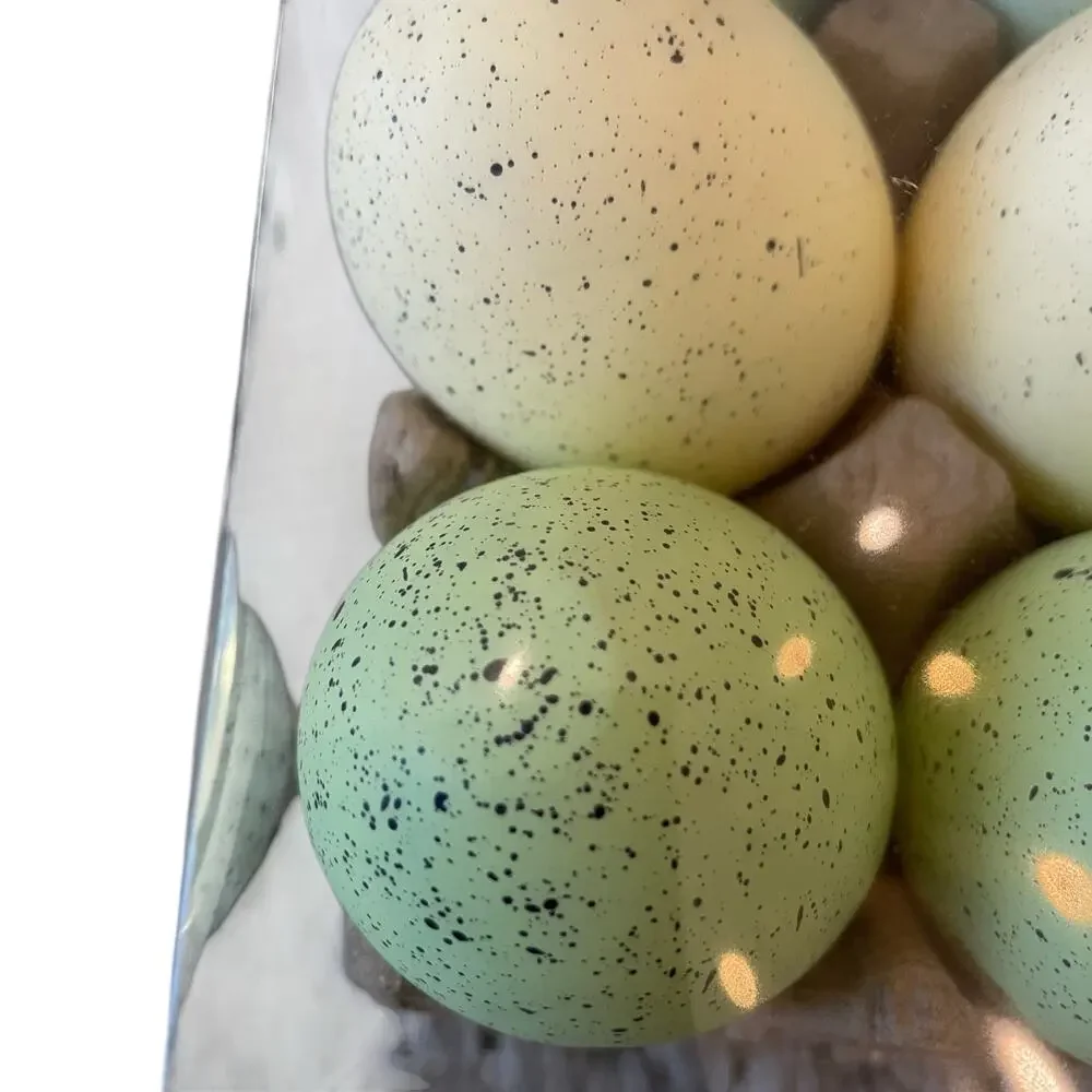 Queenswest Easter Eggs Boxed Set of 12 Pastel Colors Speckled Spring Decor New